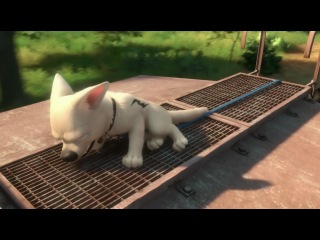 Вольт (Полнометражный мультфильм Disney, 2008)